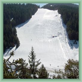 Ski are�l Skichem