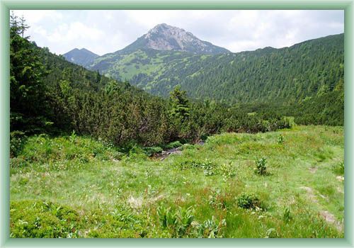 Siv� vrch
