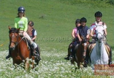 Pension HippoClub
