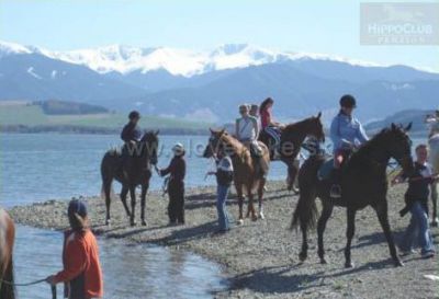 Pension HippoClub