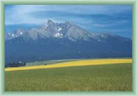 Belianské Tatry